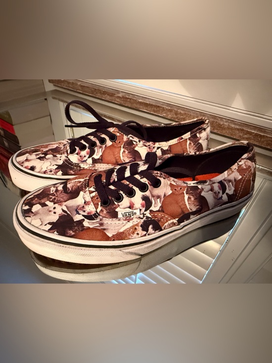 Vans Shoes - Vans Women's Brown Multi Cat Print Era Skate Shoes